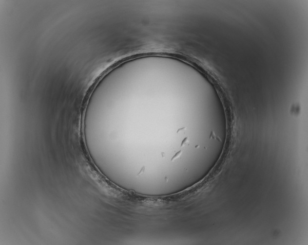 X0000111631220200907311219