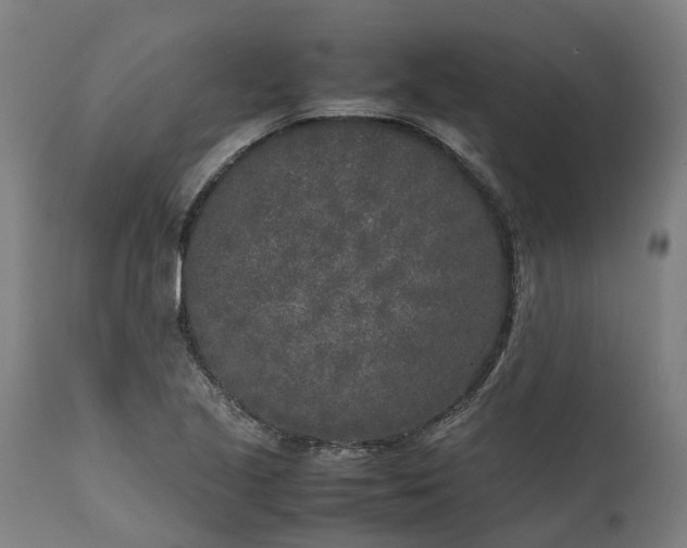 X0000111631221200907311219