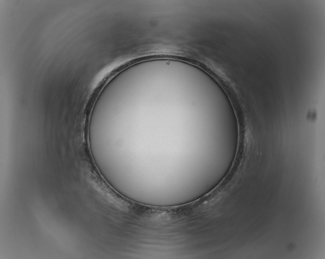 X0000111631222200907311219