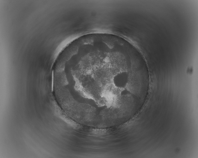 X0000111631223200907311219