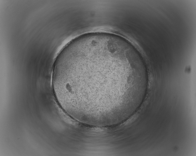 X0000111631224200907311219