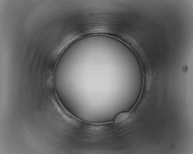 X0000111631225200907311219