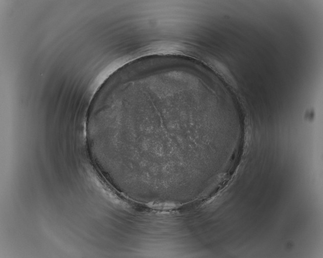 X0000111631226200907311219