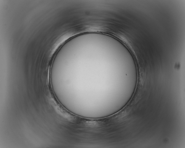 X0000111631227200907311219