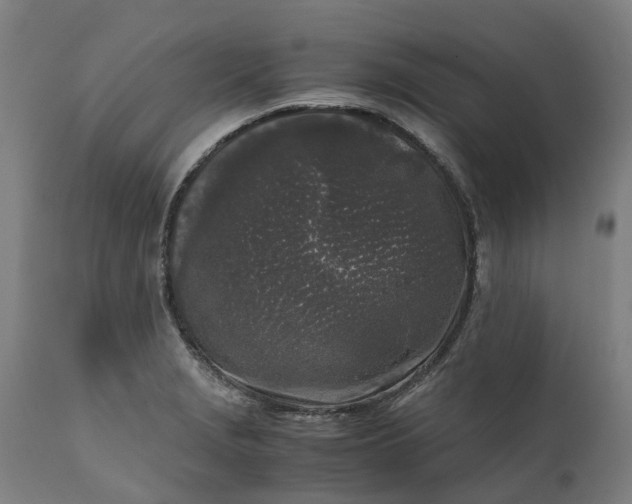 X0000111631229200907311219