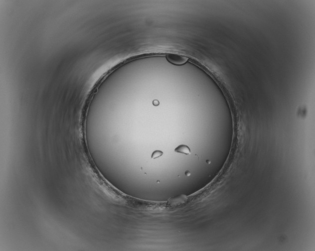 X0000111631230200907311219