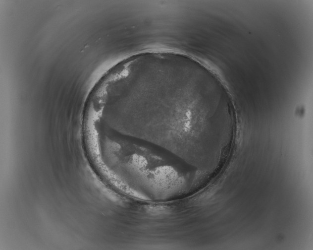 X0000111631231200907311219