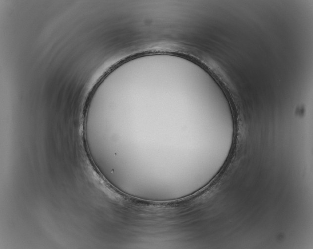 X0000111631232200907311219