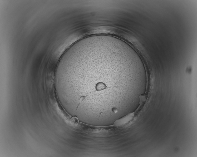 X0000111631233200907311219