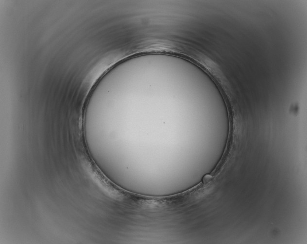 X0000111631234200907311219