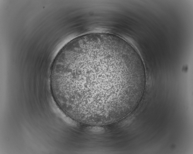 X0000111631235200907311219