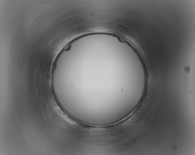 X0000111631236200907311219