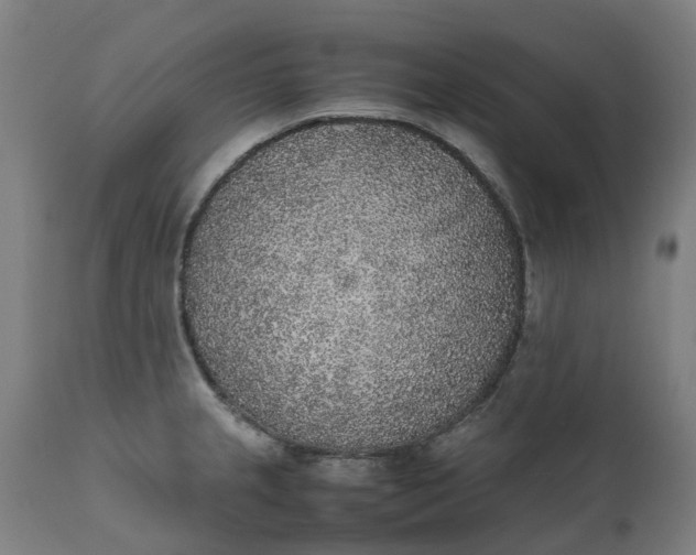 X0000111631237200907311219