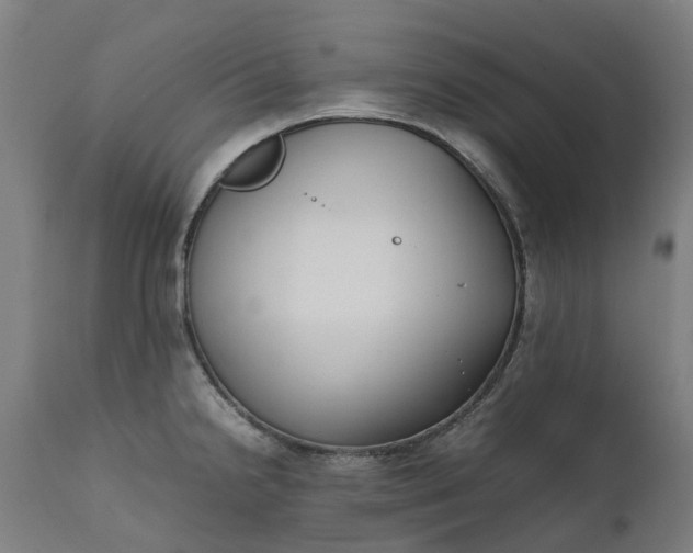 X0000111631238200907311219