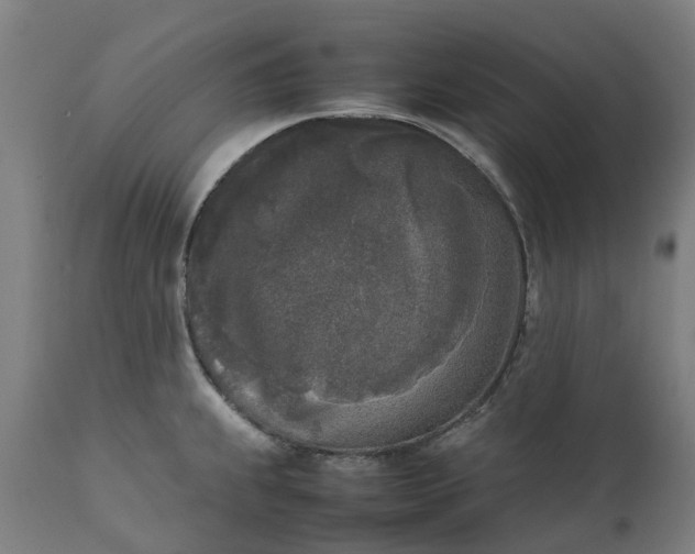 X0000111631239200907311219