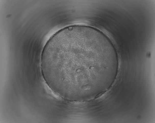 X0000111631240200907311219