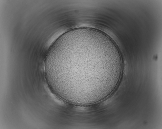 X0000111631241200907311219