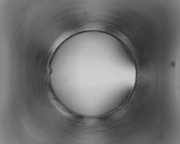 X0000111631242200907311219