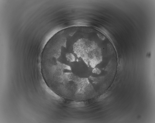 X0000111631243200907311219