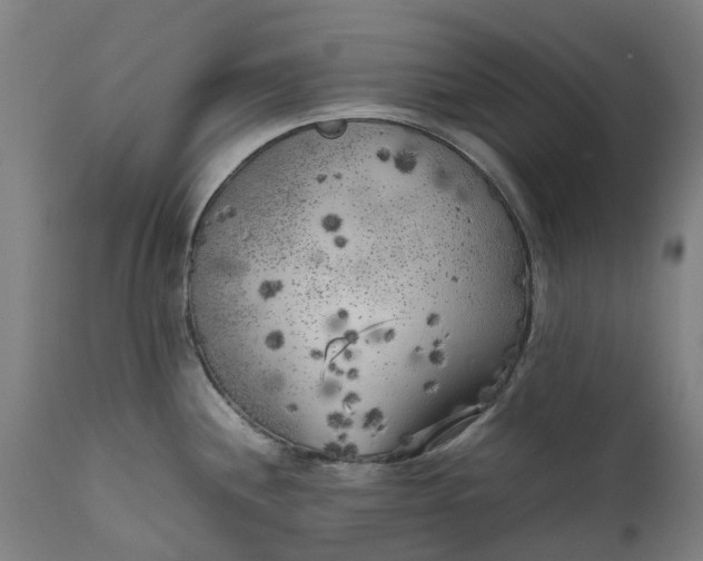 X0000111631244200907311219