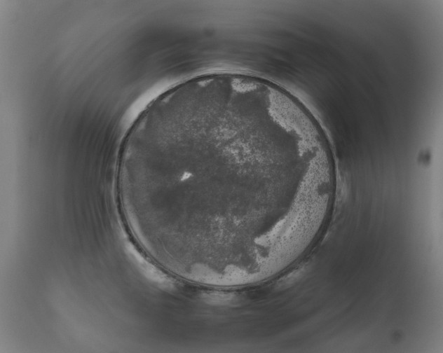 X0000111631245200907311219