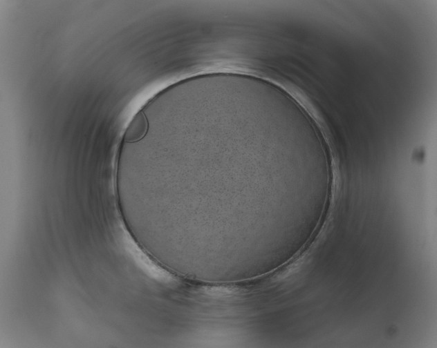 X0000111631246200907311219