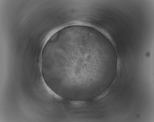 X0000111631247200907311219