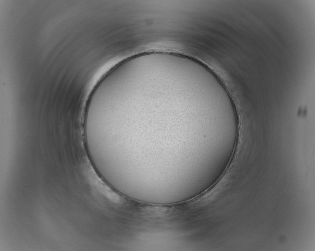 X0000111631248200907311219