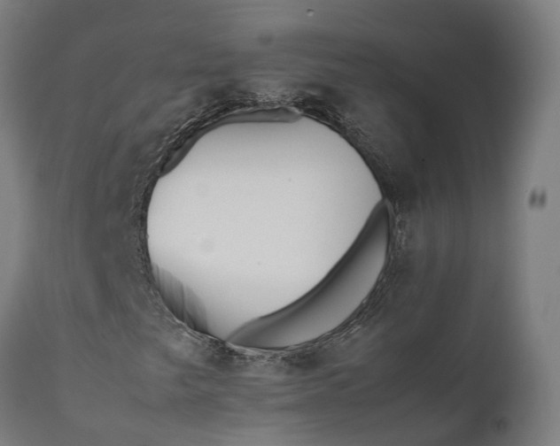 X0000111631249200907311218