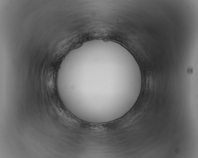 X0000111631250200907311218