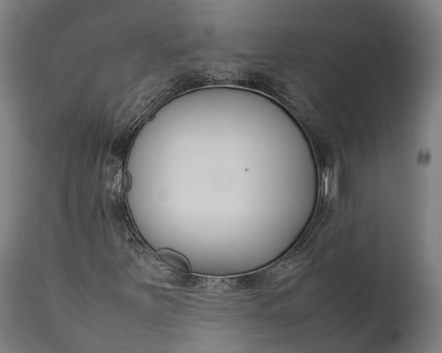 X0000111631251200907311218