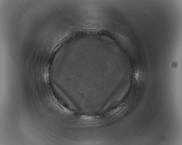 X0000111631252200907311218