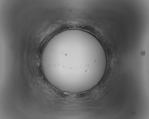 X0000111631253200907311218