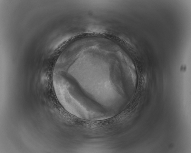 X0000111631254200907311218