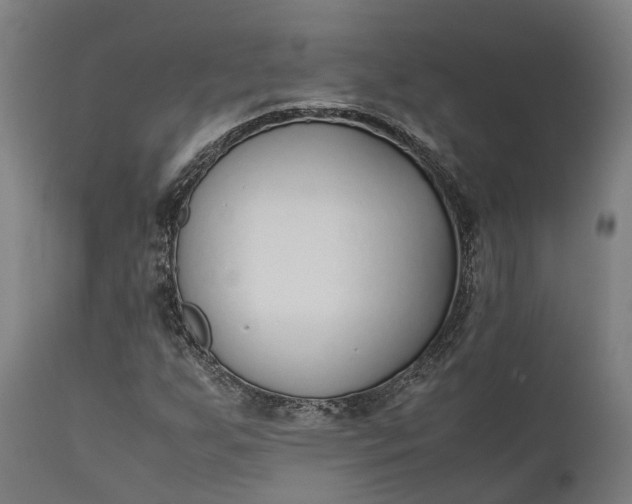 X0000111631255200907311218