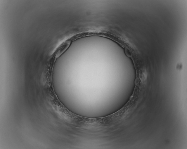 X0000111631256200907311218