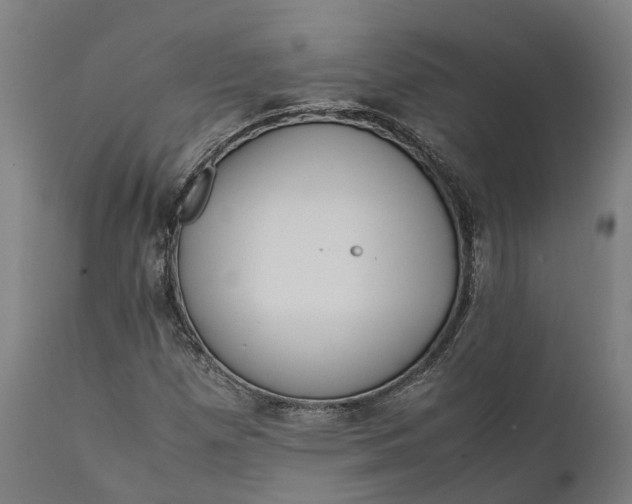 X0000111631257200907311218