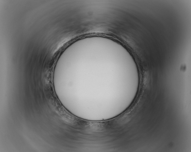 X0000111631258200907311218