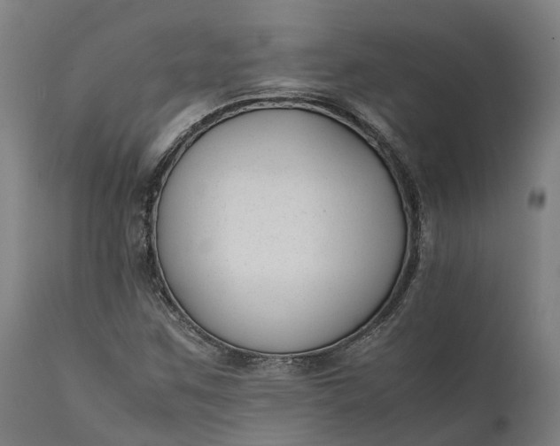 X0000111631259200907311218