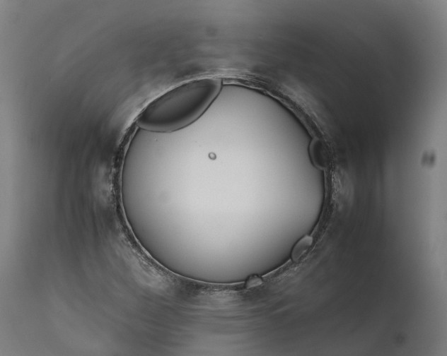 X0000111631260200907311218