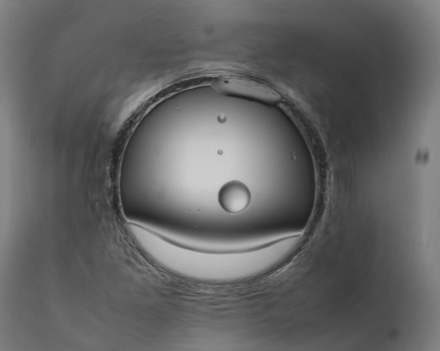 X0000111631261200907311218