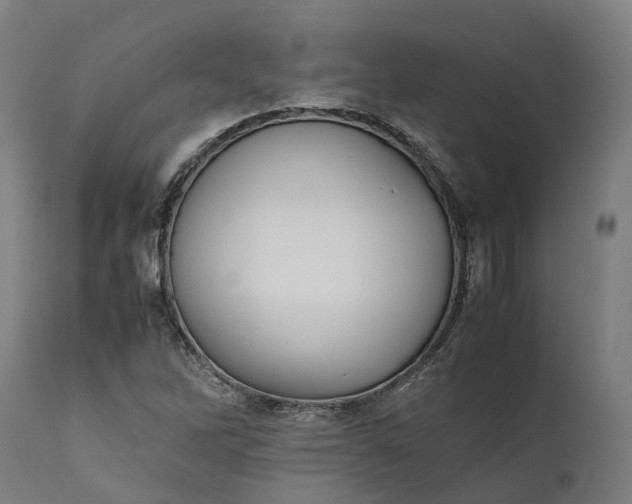 X0000111631262200907311218