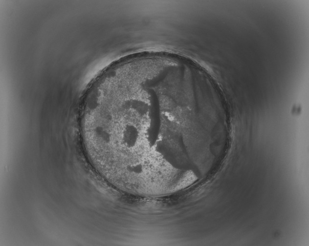 X0000111631263200907311218