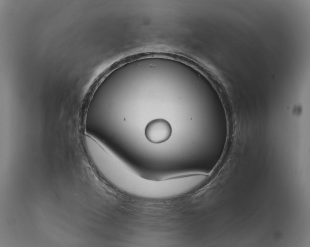 X0000111631264200907311218