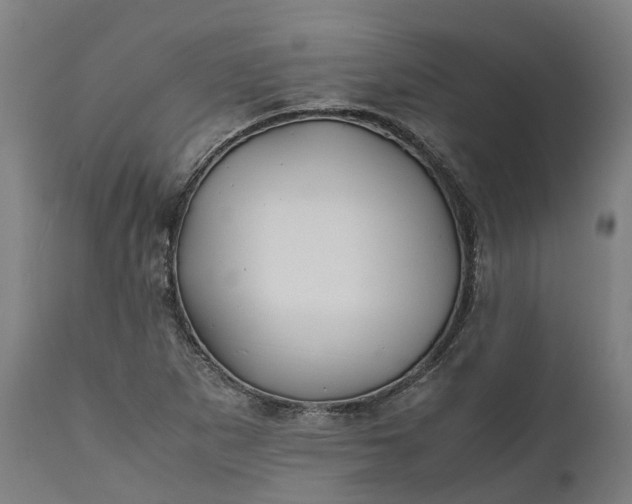 X0000111631265200907311218