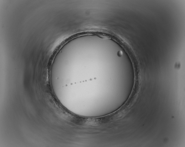 X0000111631267200907311218