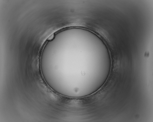 X0000111631268200907311218