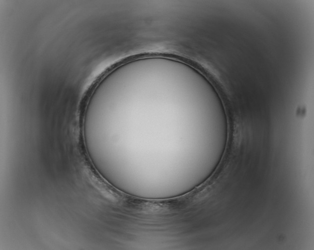 X0000111631270200907311218