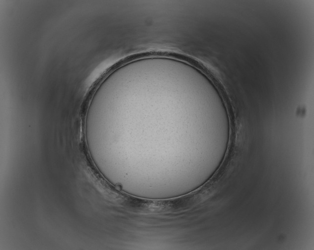 X0000111631271200907311218