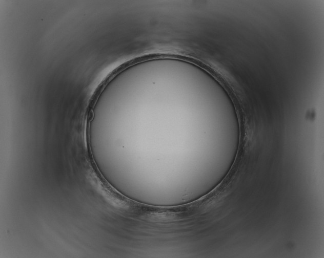 X0000111631272200907311218